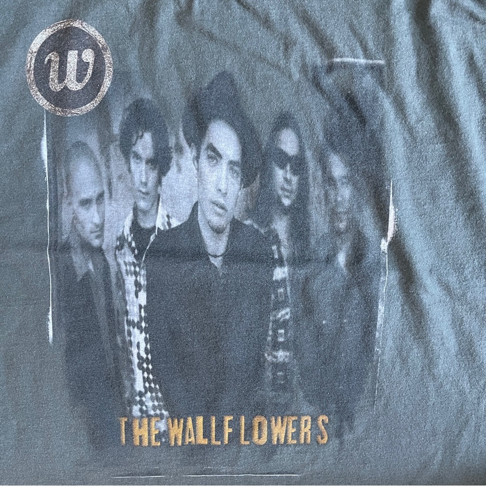 Vintage 90s The Wallflowers Bringing Down the Horse Band T-Shirt – Giant Tag XL